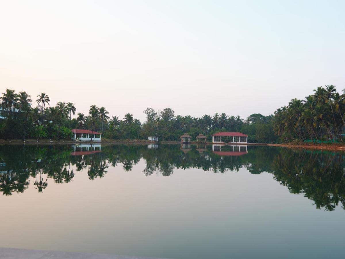 Veda5 Wellness Retreat&Spa Velha Goa Exterior foto